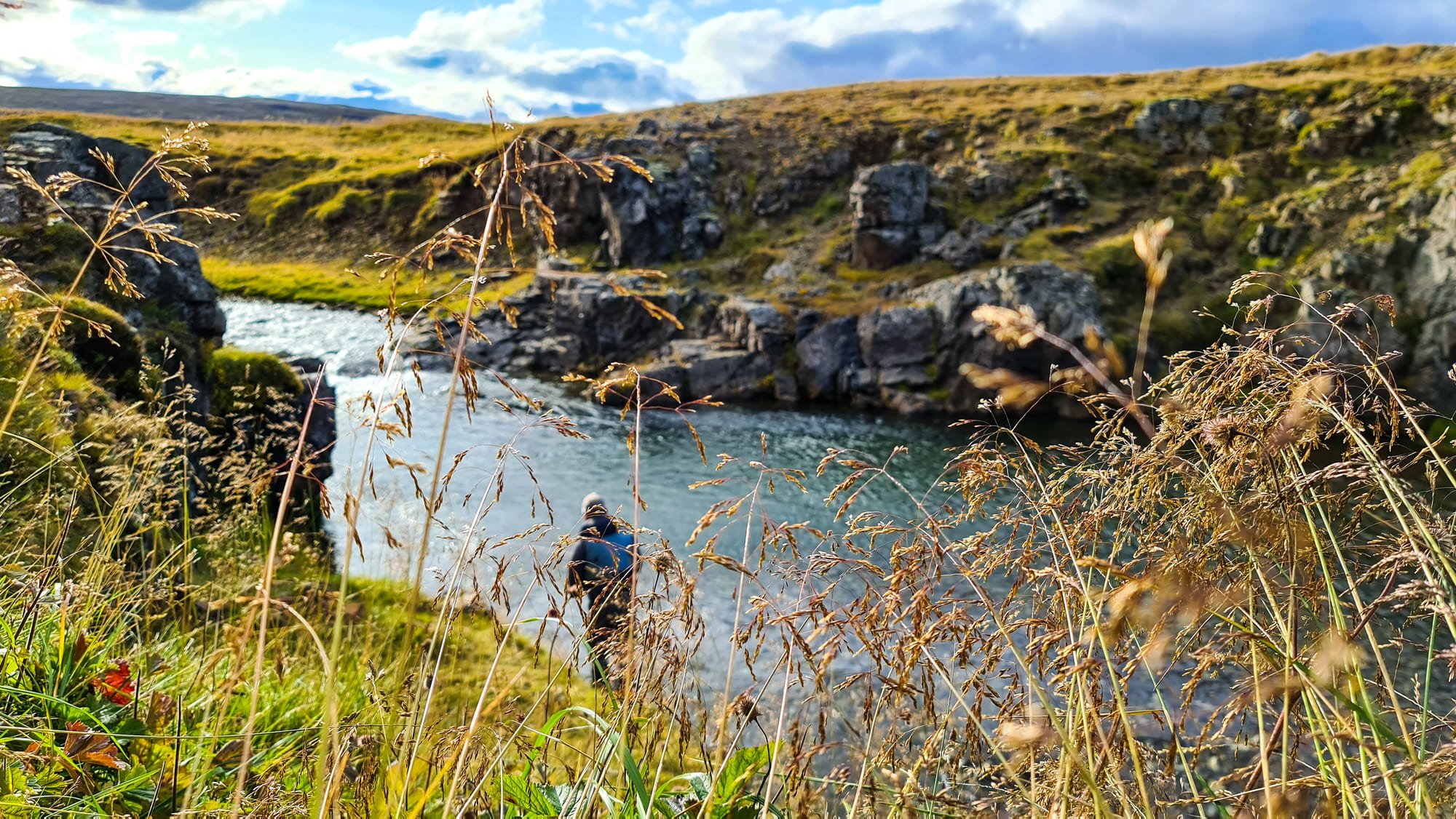Switch stangir í fluguveiðina